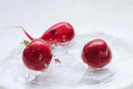 Fresh radish in water splash. Healthy food background. Spring or Summer background. Ethically sourced ingredients. Eco friendly productionの写真素材