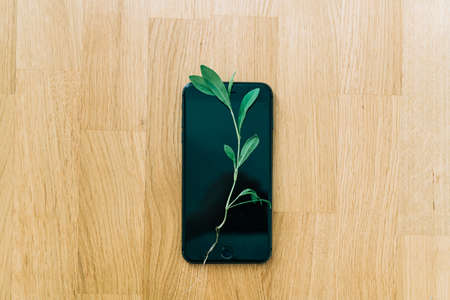 phone screen with plant growing on it. Green IT computing concept. Carbon efficient technology. Digital sustainability. wooden backgroundの写真素材