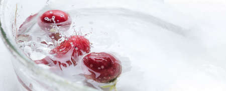 Fresh radish in water splash. Healthy food background. Spring or Summer background. Ethically sourced ingredients. Eco friendly productionの写真素材