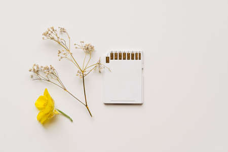 White memory card on white background with filed flowers. Eco friendly sustainable technology concept. Chia coin mining on ssd memory. Future of technology, minimal white styleの写真素材