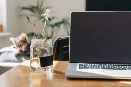 Laptop on wooden home table in kitchen, plants in water and sunny morning light. Cottagecore concept. Slow living lifestyle. Freelance, remote work. Mockup laptop screenの写真素材
