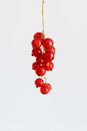 Top view of red currant berries minimal style. Summer healthy harvest food