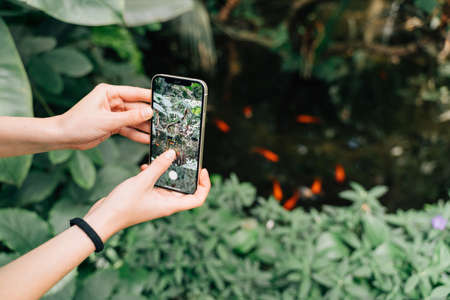 Caucasian young woman making photo of golden carps in a pond in botanical gardenの写真素材