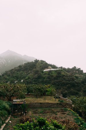 Terraced fields and sparse homes dot the verdant slopes of Spains mountains, obscured by the morning...