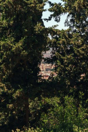 Lush trees framing a distant city view under a clear sky.の写真素材