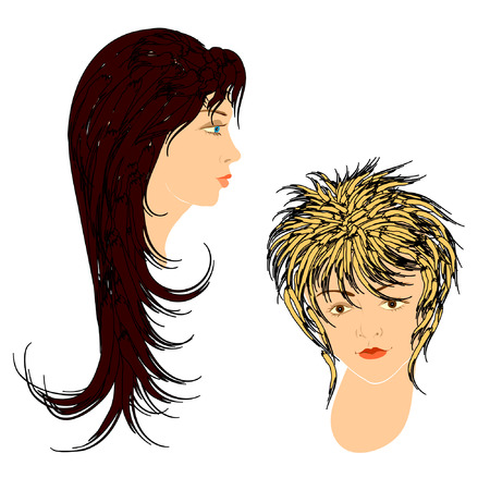 Feminine hairdos. Vector.のイラスト素材