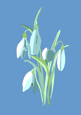 Snowdrops. のイラスト素材