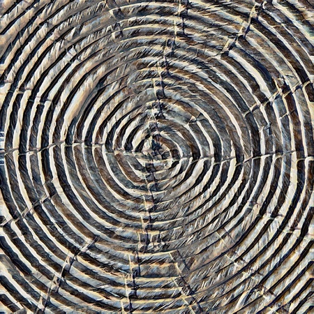Abstract textured background with relief rings texture and circular pattern. 