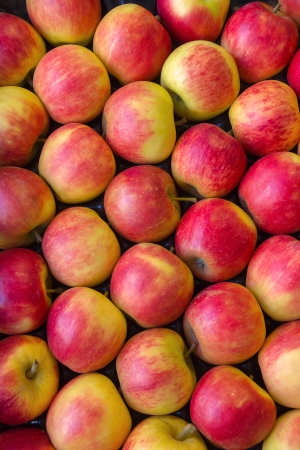 Red apples for selling at fruit market の写真素材