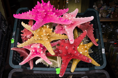 Starfish  Asteroidea  for sale at market  の写真素材