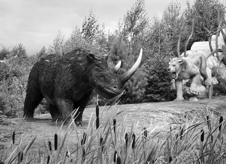 Model of ancient Wooly Rhinoceros in Jurassic park in Leba, Poland. Height - 1,7 m, weight - 3 - 4 t.のeditorial素材