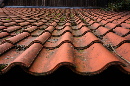 Old tiled roof.の写真素材