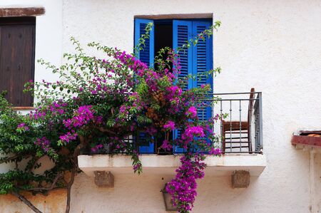 Balcony with blue sun blinds and plant blooming with pink flowers on white wall in Loiri Porto San Paolo, Sardinia, Italy.の写真素材