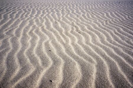 Wavy lines pattern on sand of dunes on Baltic beach.