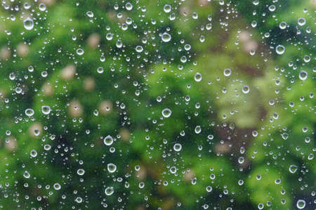 Water drops of rain on window glass on green summer background..