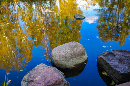 Big Stones in River and Reflections of Yellow Foliage of Bich Trees and Blue Sky in Water in Autumn.の写真素材