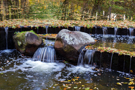 Big Stones on River Cascade and Yellow Leaves afloat on Water in Autumn.の写真素材