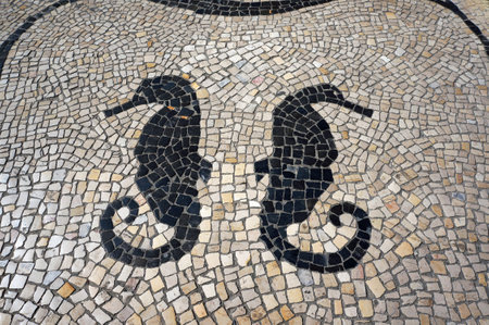 Seahorse (Hippocampus) Pattern in Traditional Mosaic Paving Tiles on a Street of Aveiro, Portugal.の写真素材