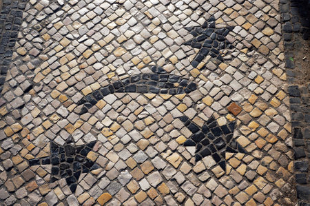 Fish Pattern in Traditional Mosaic Paving Tiles on a Street of Aveiro, Portugal.の写真素材