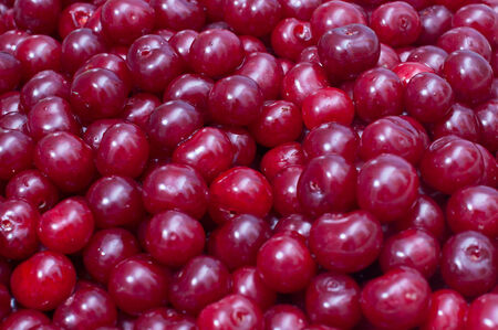 Heap of dark red cherries  Focus in centerの写真素材