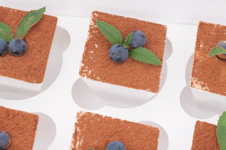 Six tiramisu with fresh mint in a white boxの写真素材
