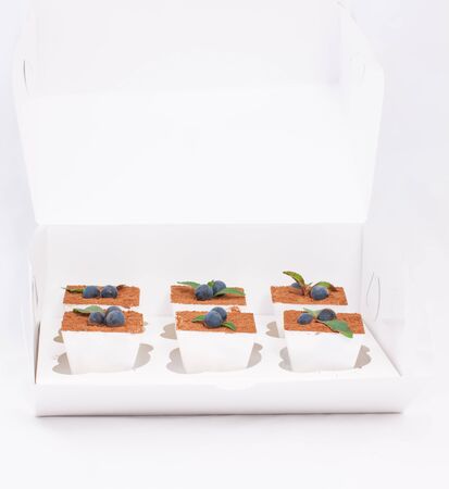 Six tiramisu with fresh mint in a white boxの写真素材