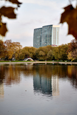 Autumn pond in the cityの写真素材