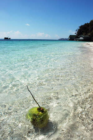 coconut on beachの写真素材
