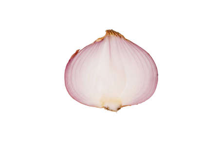 a red onion cut into half portionの写真素材