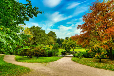 The dirt paths in the autumn gardenの写真素材