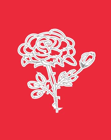 Illustration of beautiful roseの写真素材