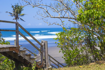 Stairs to a tropical beach with exotic plants and palm treesの写真素材