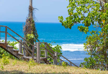 Stairs to a tropical beach with exotic plants and palm treesの写真素材