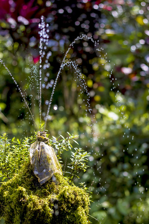 Small Fountain with Clean Fresh Water at the Forestの写真素材