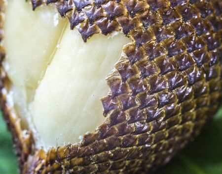 Snake Fruit and Green Leaf on the Wood Table.の写真素材