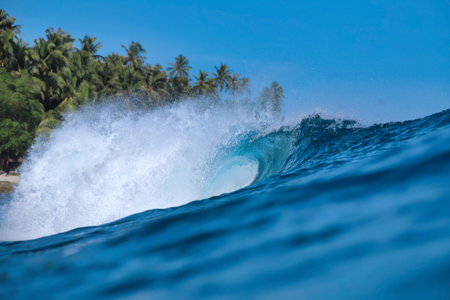Powerful ocean wave curling under sky, palm silhouettes on horizon, translucent turquoise barrel breakingの写真素材