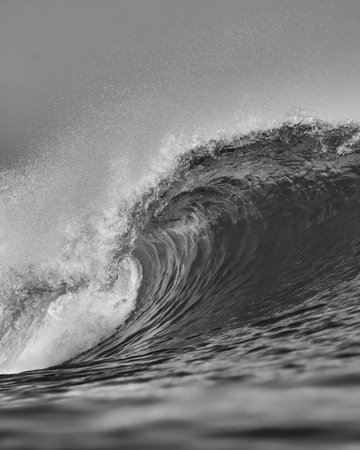 CloseUp Ocean Wave Power BlackAndWhite, Dramatic Curling Barrel Captured In HighContrast Tones, Texturedの写真素材
