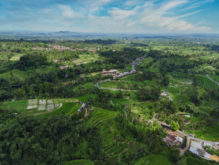 Aerial View Of Terraced Rice Fields Under Clear Blue Sky, Winding Contours Of Emerald Paddies Cascading Downの写真素材