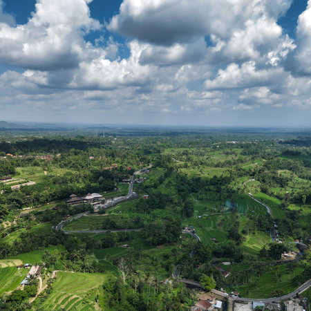 Aerial Drone View Terraced Rice Paddies, Lush Green Contours Cascading Across Jatiluwih Valley Under Brightの写真素材