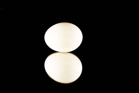Single Egg with reflectionの写真素材