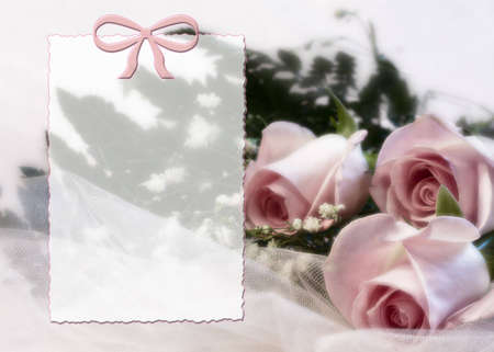 Delicate soft pink roses and  transparent area for messageの写真素材