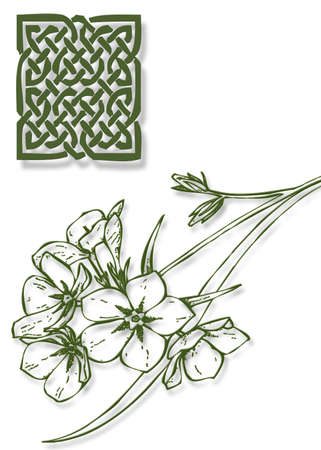 Celtic Irish Printの写真素材