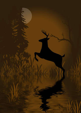 Deer with reflections in water at night with full moonの写真素材