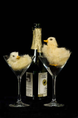 Baby Duck Cocktailの写真素材