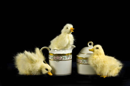 Three Baby ducks surrounding creamer and sugar bowlの写真素材