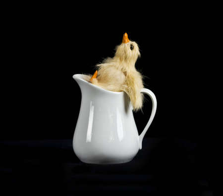 Single baby duck kicking back in creamerの写真素材