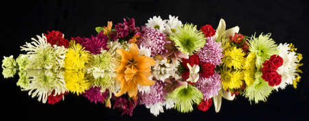 Floral Lineup Reflectionsの写真素材