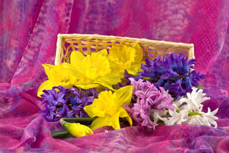 Spring Flowers spilling out of a basketの写真素材