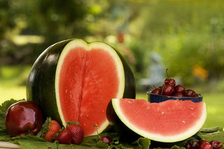 Watermelon and large slice along with cup of cherries,apple and a few strawberries in outside backyardの写真素材