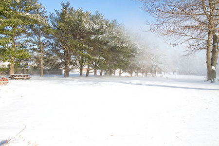 Snow whirlwind after snow storm in yard  3 の写真素材
